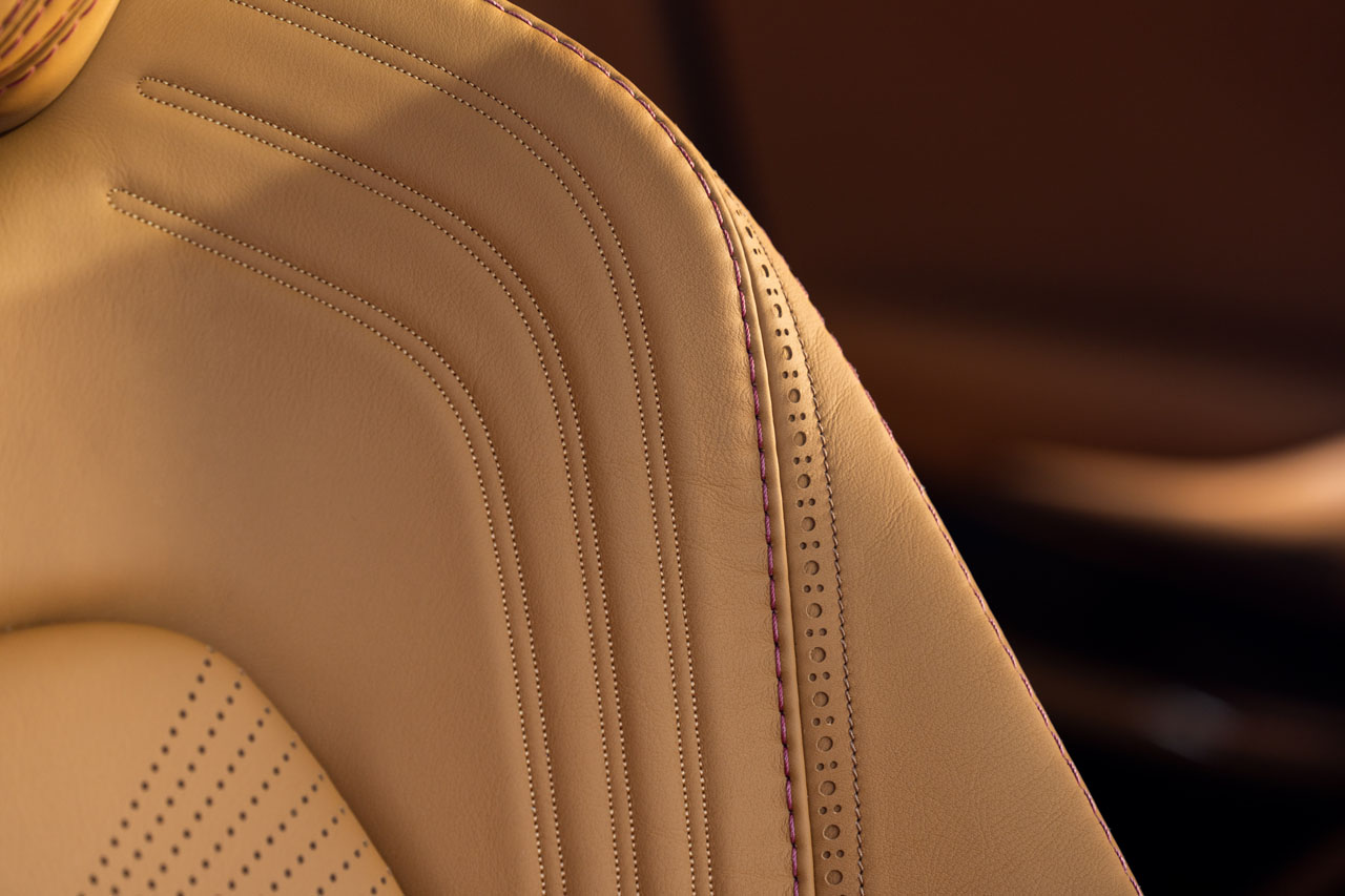 Aston Martin DBX_31.jpg
